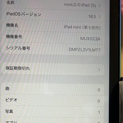 iPad mini5 セルラーモデル64GBの画像