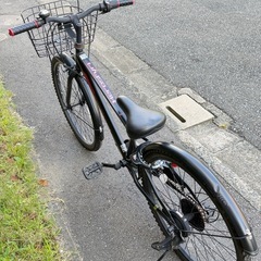 【決まりました】トレーディア 24インチ 子供用自転車（HEROSFYRI／ヒーロー・スフィリ）6段変速の画像