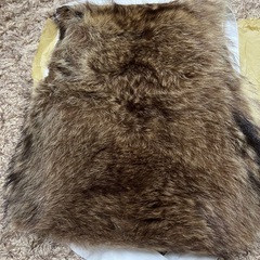 真言宗　犬泣山本山　阿闍梨法衣一色です。の画像