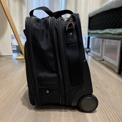ACEGENE キャリーバッグ
の画像