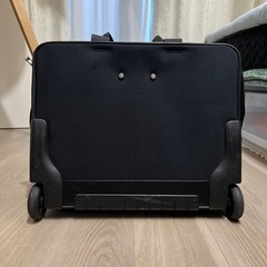 ACEGENE キャリーバッグ
の画像