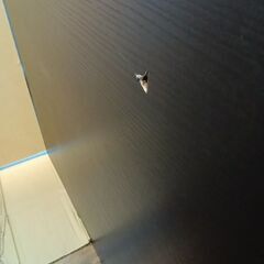 ★ジモティ割あり★ セミダブル　ベッドフレーム ダークブラウン H85×D207×W123 クリーニング済み TK6726TKKAGU の画像