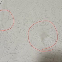 PCX ロングスクリーンの画像