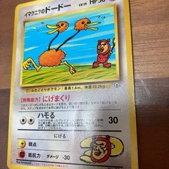 ポケモンカード　イマクニ？のドードーの画像