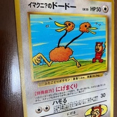 ポケモンカード　イマクニ？のドードーの画像