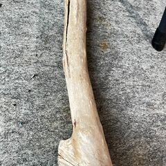 流木 オブジェの画像