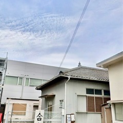 初心者歓迎！和歌山で始める合気道｜無料体験あり・マンツーマン指導の画像