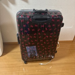 大容量キャリーケースの画像