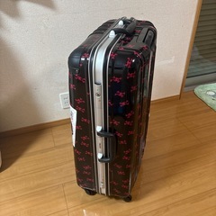 大容量キャリーケースの画像