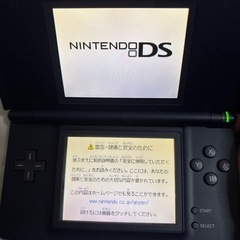 ポケットモンスター歴代カセットとDSライトの画像