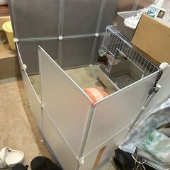 小ー中動物育成セットの画像
