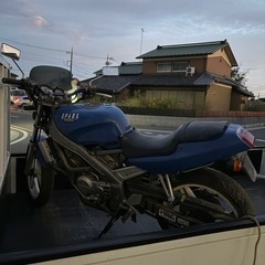 ホンダ　VT250 書類無　鍵有の画像