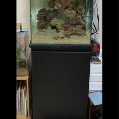 コトブキ　キューブ　海水水槽　水量70L  外部フィルター　上部フィルターセットの画像