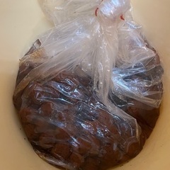 梅干し　容器　長久手市より無料にて差し上げます。の画像