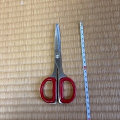 赤いハンドルのステンレス製はさみの画像