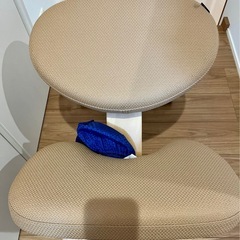 バランスイージー　カバー付きの画像