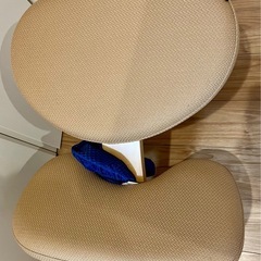 バランスイージー　カバー付きの画像
