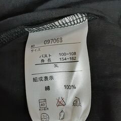 オーガニックＴシャツ　T-356の画像