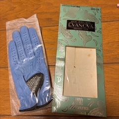 Daiwaレディースゴルフシューズ24㎝の画像