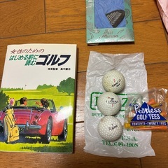 Daiwaレディースゴルフシューズ24㎝の画像