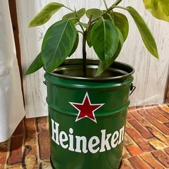 #8リメイクペール缶
の画像