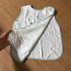 スリーパーパディントンの画像