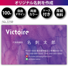 名刺印刷 100枚 両面 フルカラー 紙ケース付 No.2…
