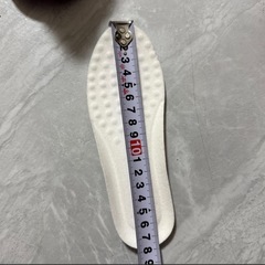 冬の靴の画像