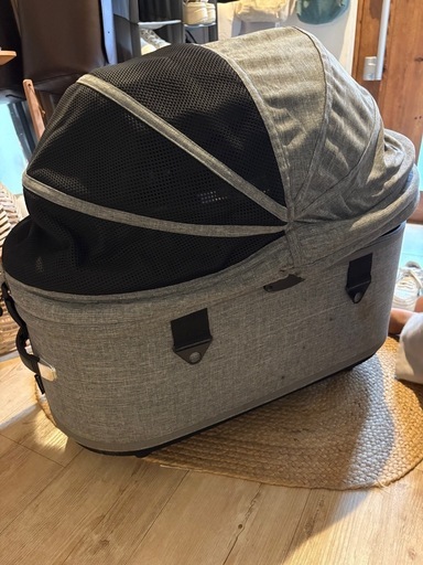 エアバギー　ドーム3 ラージコット