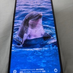 oppo a55sの画像