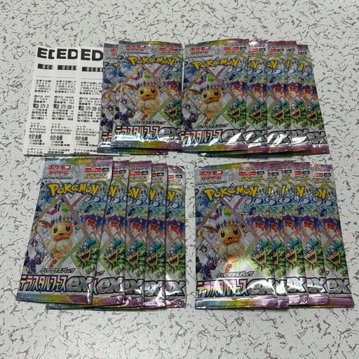 テラスタルフェスex×17