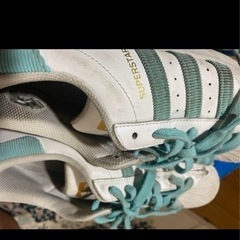 取引先決定adidasスーパースターの画像