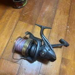 タマン、打ち込み竿の画像