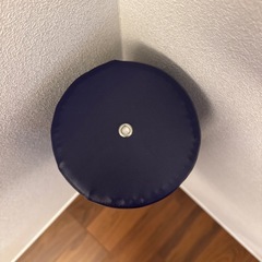 LPN StretchPole ストレッチポールEX ネイビーの画像