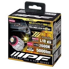 IPF LED フォグランプ X3 バルブ 2600K L1Bの画像