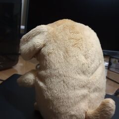 こえマネわんちゃんの画像