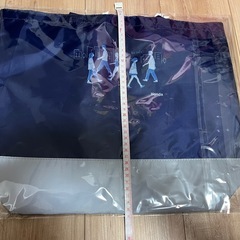 エコバッグの画像