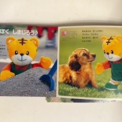 こどもちゃれんじプチ　しまじろう　絵本の画像