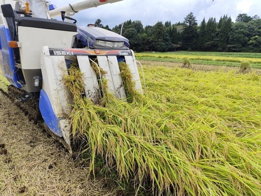 新米あきたこまち玄米30キロ ！減農薬栽培