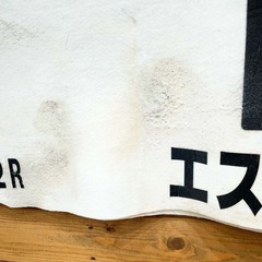 エストレーア 12R 10番 ゼッケン JRA 競馬 競走馬 実使用の画像