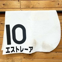 エストレーア 12R 10番 ゼッケン JRA 競馬 競走馬 実使用の画像