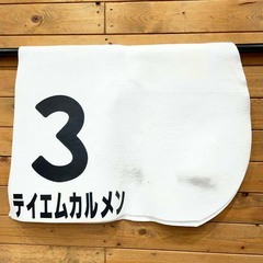 テイエムカルメン 2歳未勝利 ゼッケン 小牧太 直筆サイン JRA 競馬 競走馬 実使用の画像