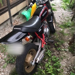 ホンダ　エイプ50 実働の画像