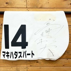マキハタスパート 障害4歳以上未勝利 ゼッケン 高井彰大 直筆サイン入り JRA 競馬 競走馬 実使用の画像