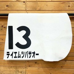 テイエムツバサオー 4歳以上500万下 ゼッケン JRA 競馬 競走馬 実使用 高井彰大の画像