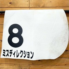 ミスディレクション 3歳以上500万下 ゼッケン JRA 競馬 競走馬 実使用 森裕太朗の画像