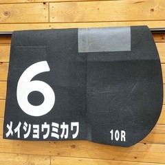 メイショウミカワ 河原町S ゼッケン JRA 競馬 競走馬 実使用 武豊の画像