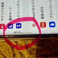 iPhoneSE◼️第3世代◼️
SIMフリーの画像