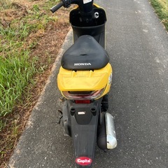ホンz4 AF57の画像