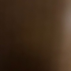 仮の画像